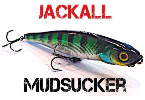 Jackall mudsucker