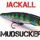 Jackall mudsucker